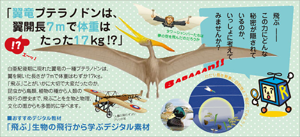 翼竜プテラノドンは、翼開長7mで体重はたった17kg!?
