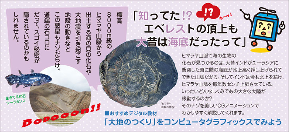 知ってた!?エベレストの頂上も大昔は海底だったって