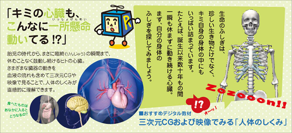 キミの心臓も、こんなに一所懸命動いている!?